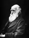 @CharlesDarwin's profile picture
