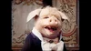 @SqueeTheWittlePiggy's profile picture