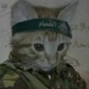 @JihadistBob's profile picture