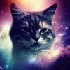 @traumatized_spacecat's profile picture