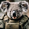 @Koala99's profile picture