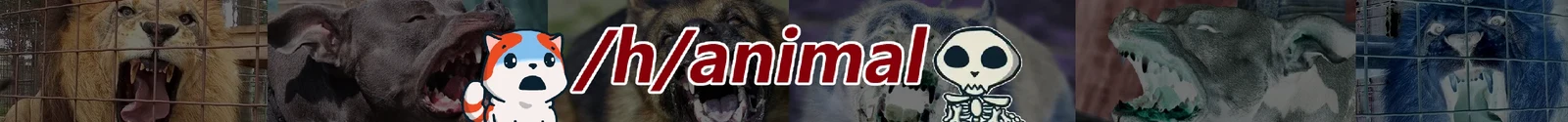 /h/animal banner