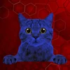 @Blue_Cat27's profile picture
