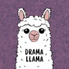 @DramaLlama's profile picture