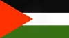 @Pro-Palestinian's profile picture