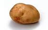 @Potato-God's profile picture